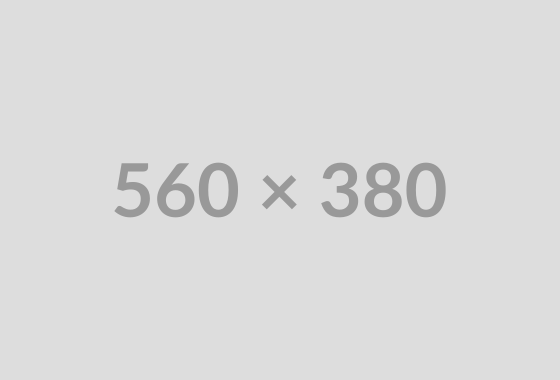 Fix price